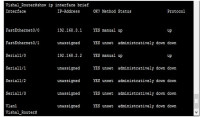 How to Configure Fast Ethernet and Serial Interface on Cisco Router
